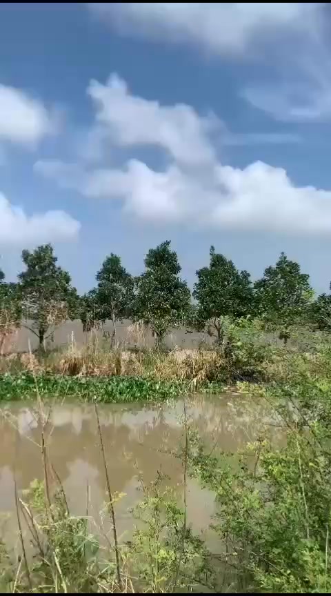 Đất nông nghiệp tại Phường Mỹ Xuyên, Long Xuyên, An Giang - 8.800m² chỉ từ 200 triệu!