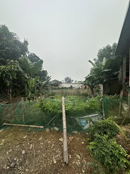 Đất nền 261m² An Tường Tuyên Quang - Giá chỉ 700 triệu - Phong thủy tài lộc!