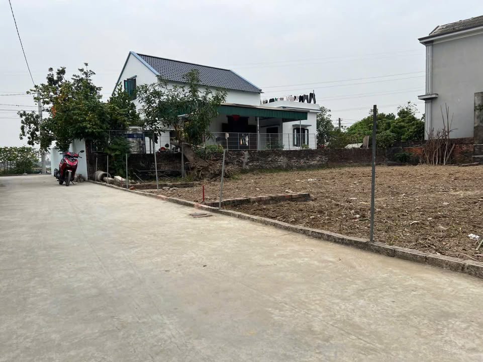 Đất thổ cư 100m² tại Tân Kỳ, Tứ Kỳ - Ô tô đỗ tận nơi, giá chỉ vài trăm triệu!
