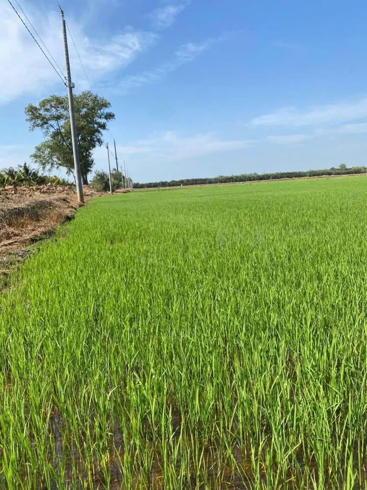 Đất nền Tân Khánh Hòa, Giang Thành, 110.000m² giá 10.45 tỷ - Đầu tư sinh lời ngay!