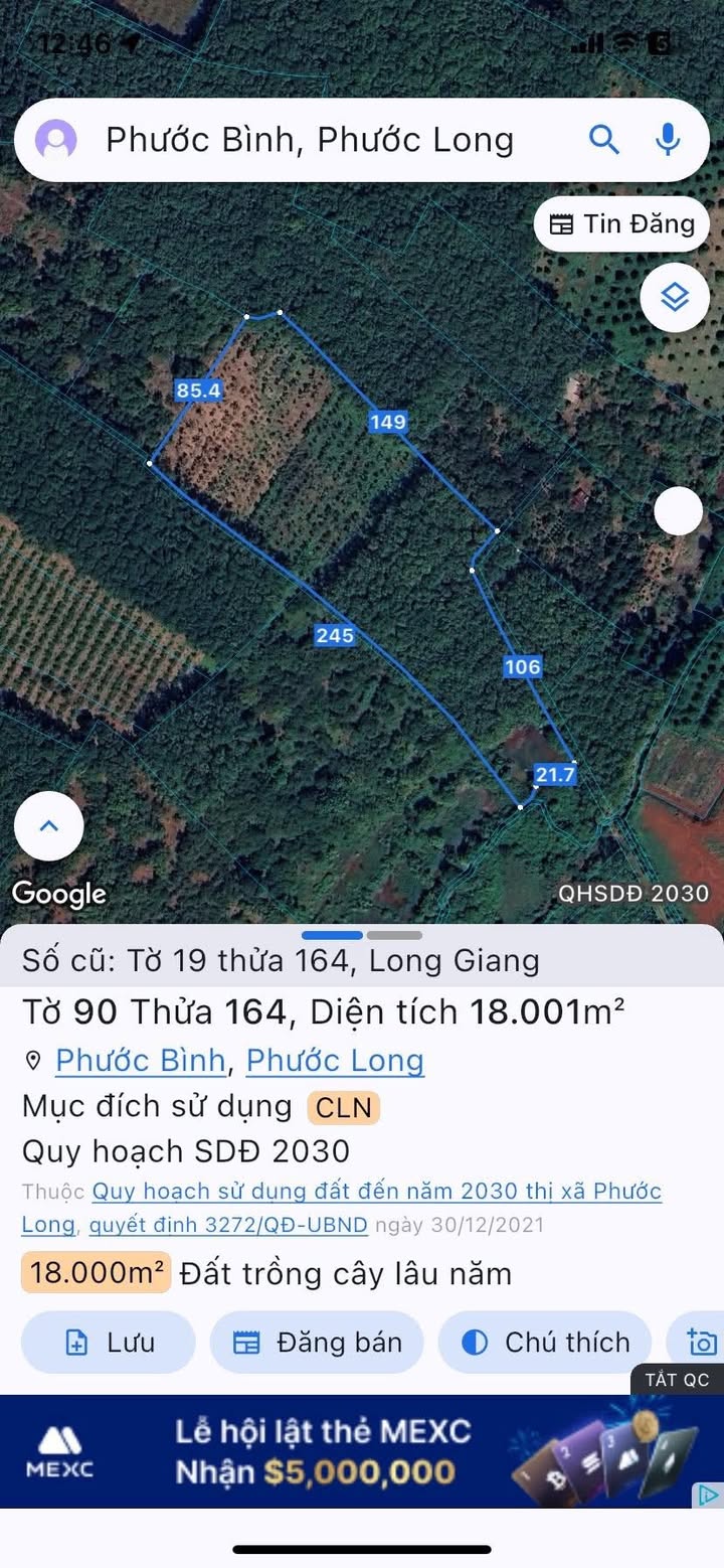 Đất nền 20.000m² tại Phước Bình, Bình Phước - Giá chỉ 9 tỷ, sổ đỏ chính chủ!