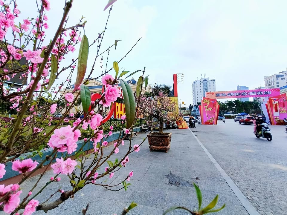 Đất nền đẹp đường Xuân Diệu - 92m² giá 6 tỷ - Vị trí vàng gần trung tâm!