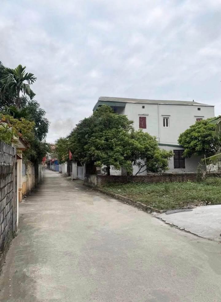 Đất nền lô góc 52m² tại Vin Olympic khu C, Thanh Trì - Giá đầu tư chỉ 5 tỷ!