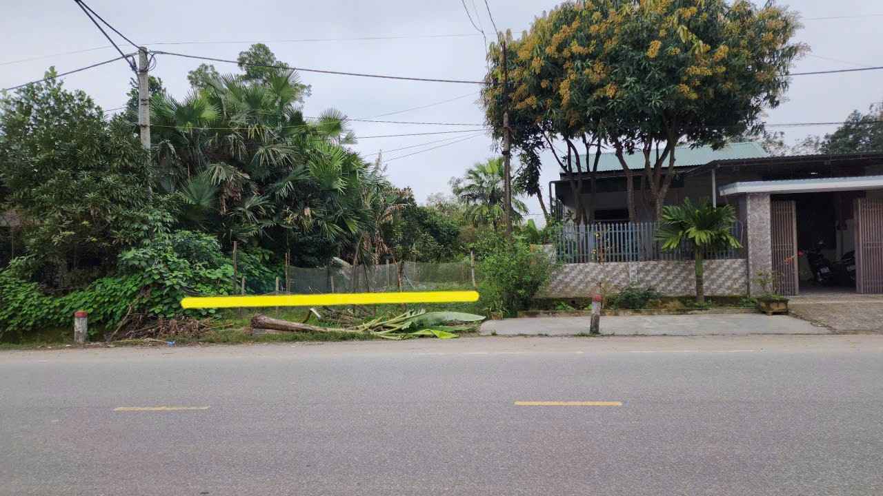 Đất nền Tân Hòa, Tân Lâm Hương, Hà Tĩnh 185m² giá 3.7 tỷ - Đầu tư sinh lời ngay!