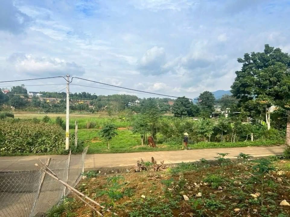 Đất nền lô góc 2 mặt đường xã Minh Quang, Ba Vì, 457m² giá 1 tỷ - Cơ hội đầu tư tuyệt vời!