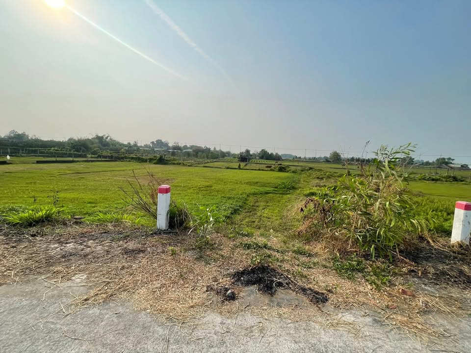 Đất lúa mặt tiền đường Ba Sa, xã Phước Hiệp, 600m² - Giá rẻ chỉ 800 triệu!