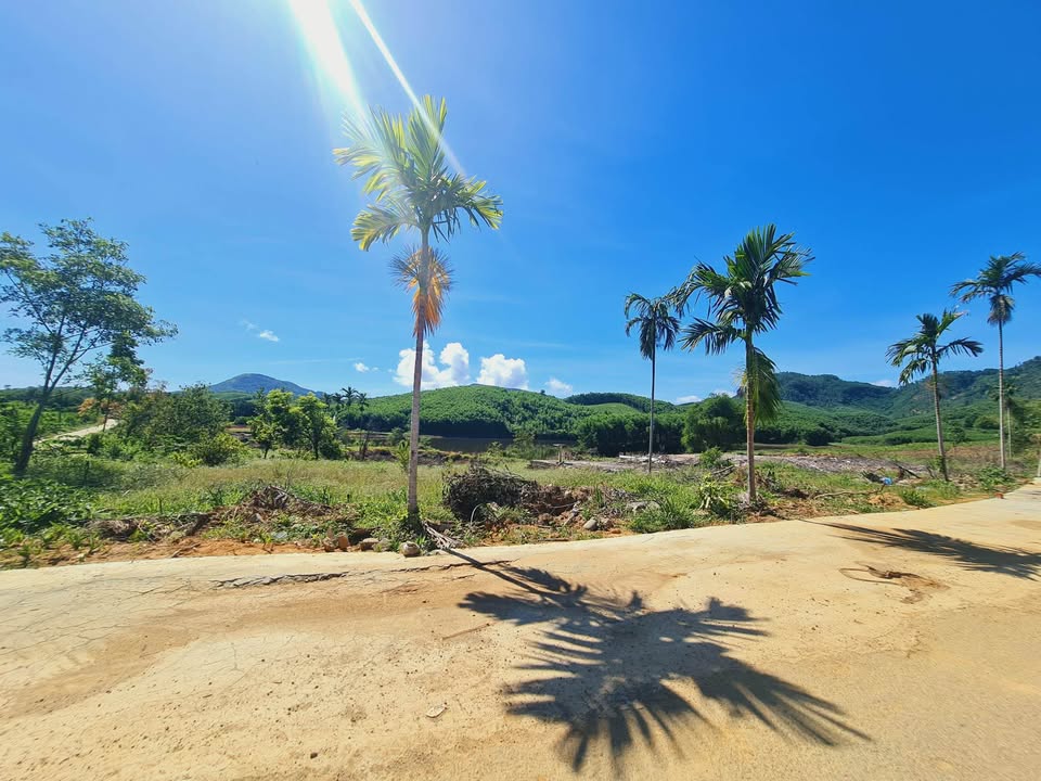 Đất nền liền kề xã Bình Thành, 208m² giá 1.478 tỷ - Đầu tư sinh lời ngay!