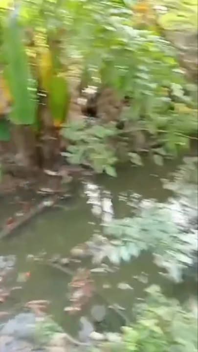 Đất thổ cư 12.000m² tại Mỹ Tân giá chỉ 695 triệu - Đầu tư sinh lời ngay!