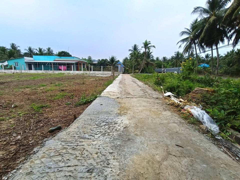 Đất nền 310m² An Thạnh Thủy, Tiền Giang giá 420 triệu - Đầu tư sinh lời ngay!