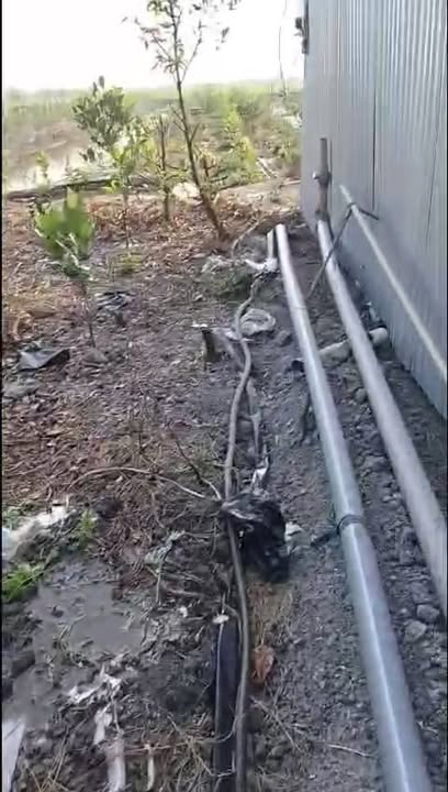 Đất vườn tại xã Thạnh Lợi, Đồng Tháp 3900m² giá 1.2 tỷ - Cơ hội đầu tư hấp dẫn!