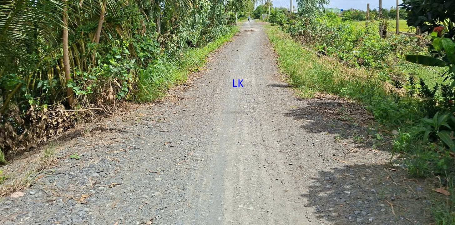 Đất lúa 2000m² xã Nhị Mỹ, huyện Cao Lãnh chỉ 600 triệu - Đầu tư sinh lời ngay!