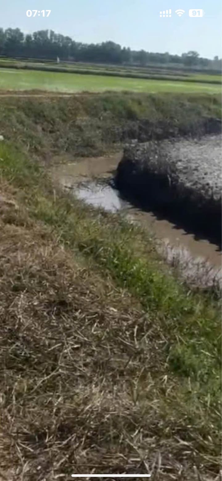 Đất nền nông nghiệp 10.000m² tại Ấp Hòa Hợp, Châu Thành, giá chỉ từ 600 triệu