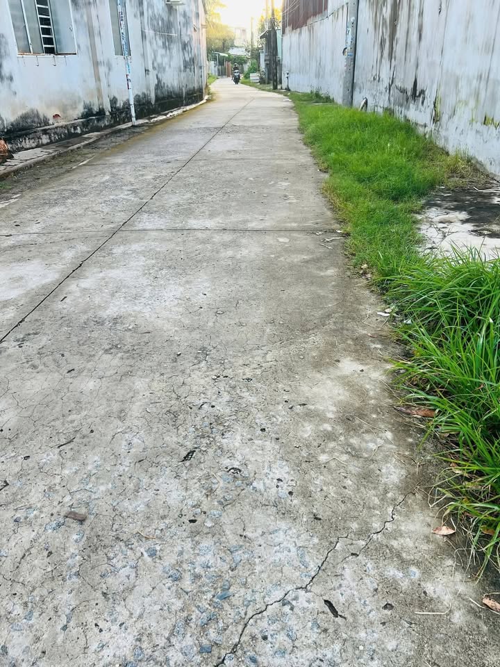 Nhà riêng xã Thanh Điền, Châu Thành, Tây Ninh 489m² giá 1 tỷ - Sổ hồng chính chủ!