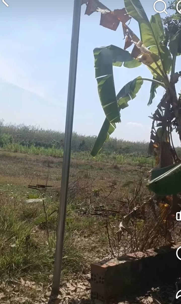 Đất nền KP Trường Xuân, P.Long Hoa, 1020m² giá 450 triệu - Cơ hội đầu tư tuyệt vời!