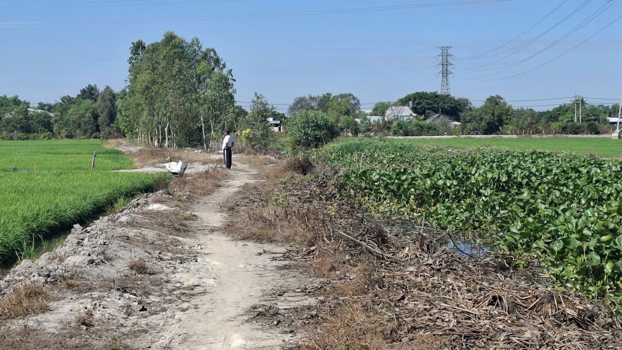 Đất vườn 1 mẫu 135m² tại Ấp Bến, Tây Ninh - Giá chỉ 1.25 tỷ!