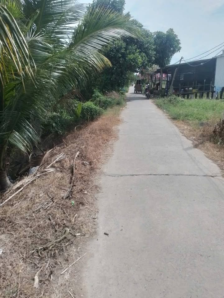 Đất nông nghiệp xã An Bình, huyện Long Hồ, diện tích 6.574m² giá 1.6 tỷ - Cơ hội đầu tư tuyệt vời!