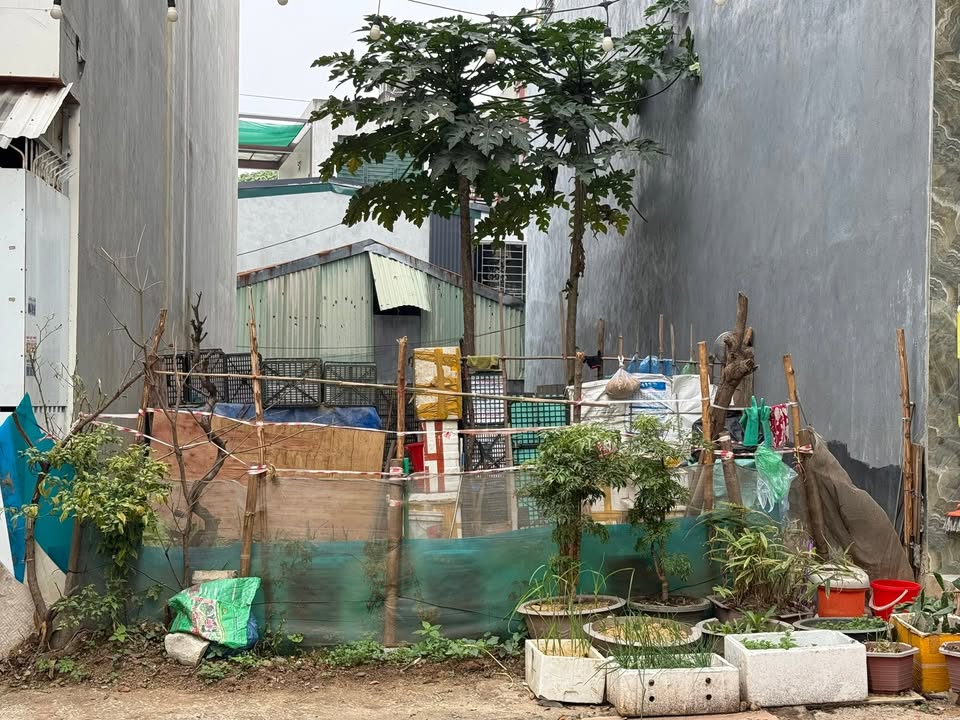 Đất nền đường Bế Văn Đàn, Kim Tân, 86m² giá 2.8 tỷ - Đầu tư lý tưởng!