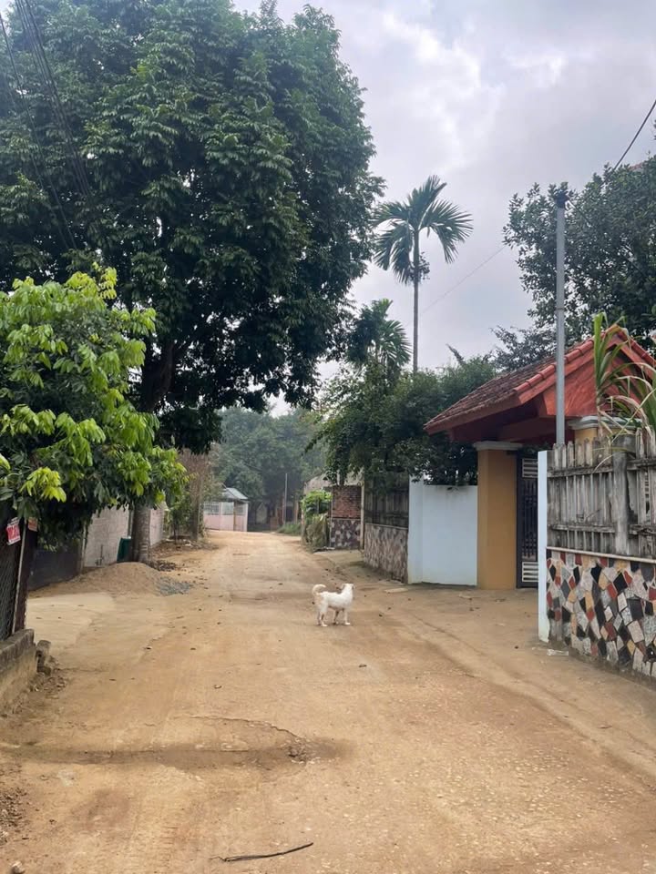 Đất nền Hạ Bằng, Thạch Thất 344m² giá 2.408 tỷ - Cơ hội đầu tư lý tưởng!