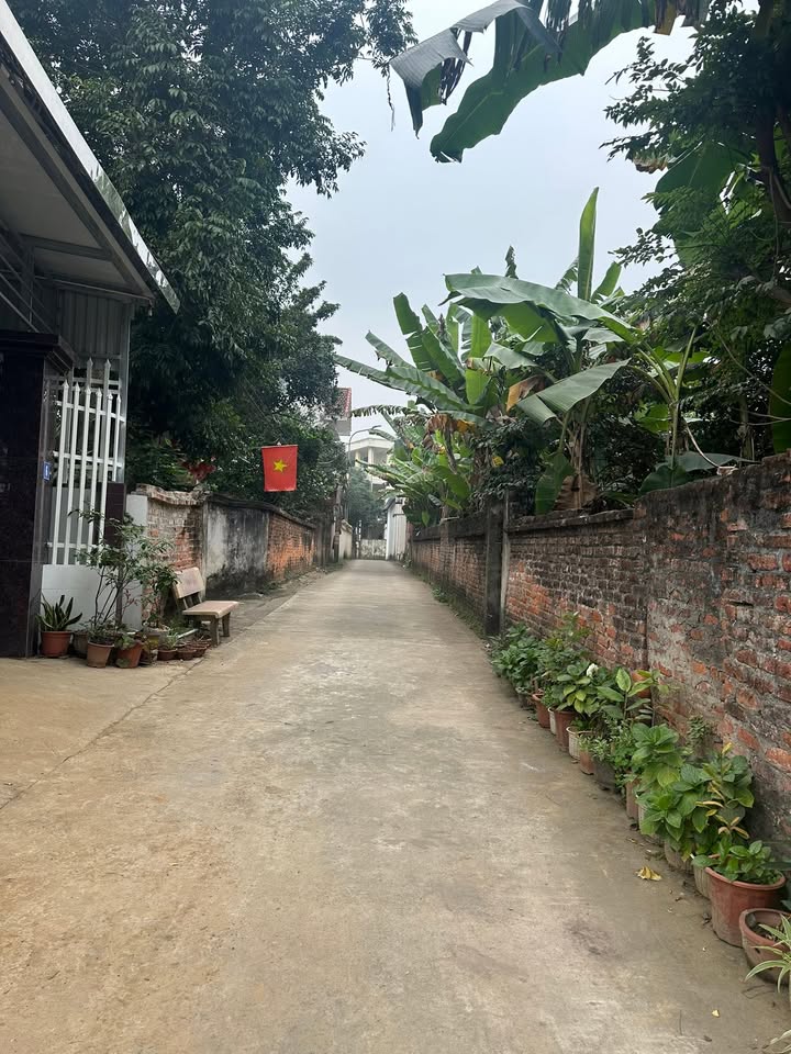 Đất nền lô góc 214m² tại Kim Sơn, Sơn Tây - Giá chỉ 2 tỷ, ô tô vào tận nơi!