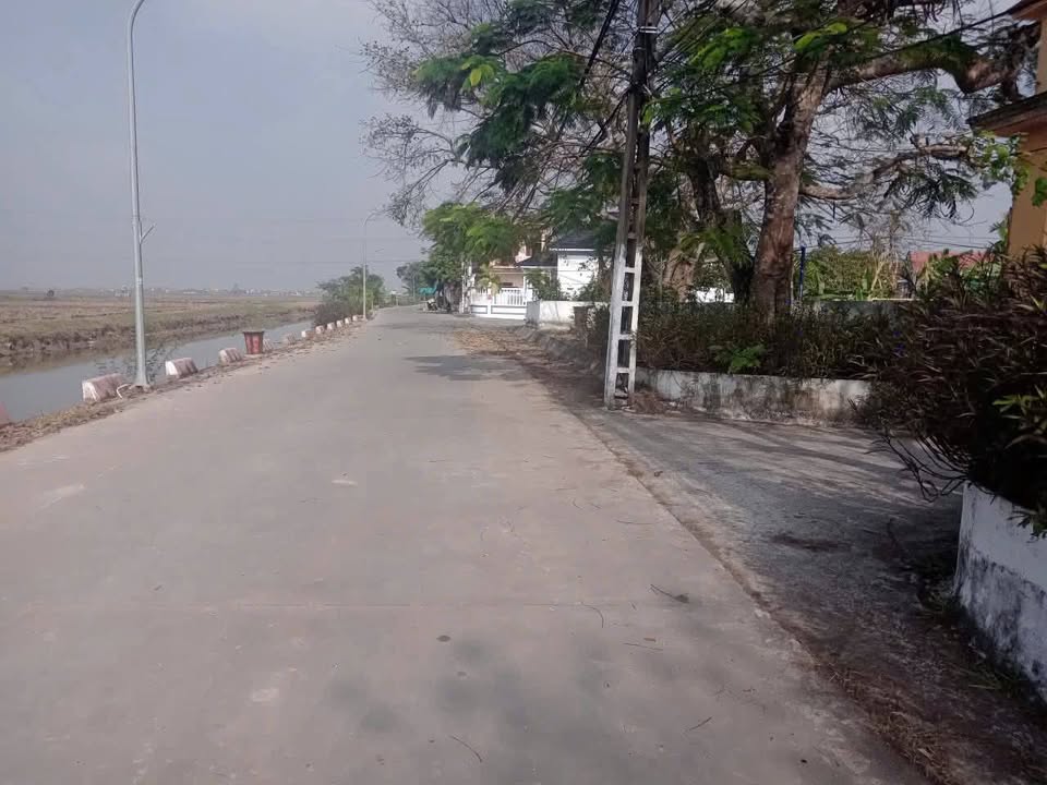 Đất nền Xóm 5 - Trần Hải - Nghĩa Thái 393m² giá 1,5 tỷ - Cơ hội đầu tư tuyệt vời!
