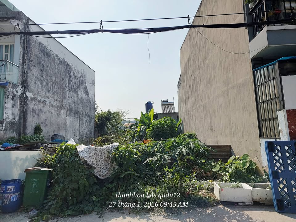 Bán đất thổ cư 62m² đường TX 40, Quận 12 giá 3,55 tỷ - Hướng Tây Bắc, sổ hồng riêng