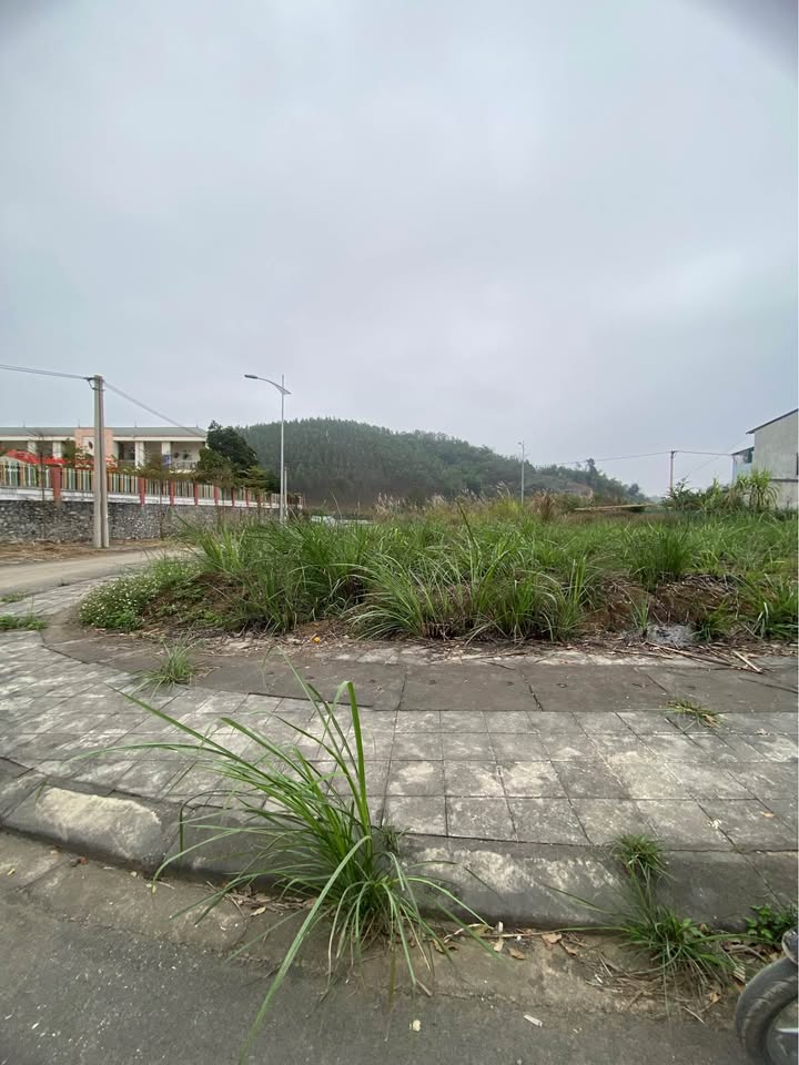 Đất Nền Ruby Garden Yên Bái - Lô Góc 116m² Kinh Doanh/Nhà Vườn