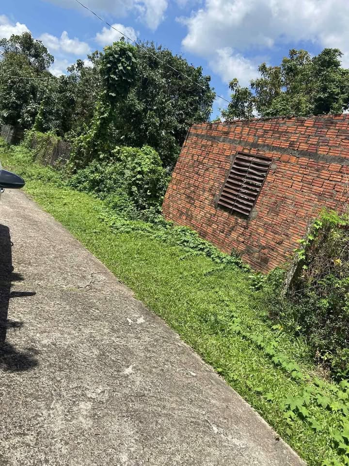 Đất nền xã Tân Thành 354m² giá 200 triệu - Cơ hội đầu tư tuyệt vời!