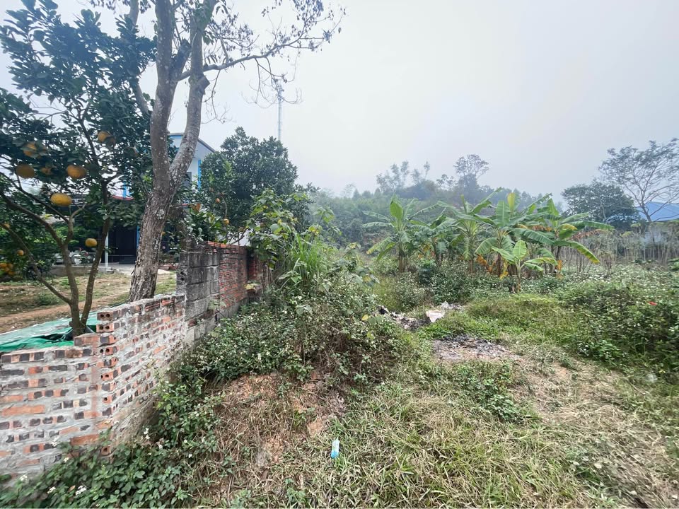 Lô đất tại đường tỉnh 302, Tam Đảo 242m² giá chỉ 1 tỷ - Đầu tư sinh lời nhanh!