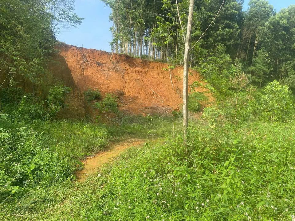 Đất nền Phường Nam Cường, 256m² giá 900 triệu - Đường ô tô tránh nhau