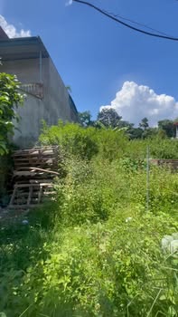 Bán FrontHouse đường TL315, phường Hùng Vương, 100m² - Vị trí đắc địa cho kinh doanh!