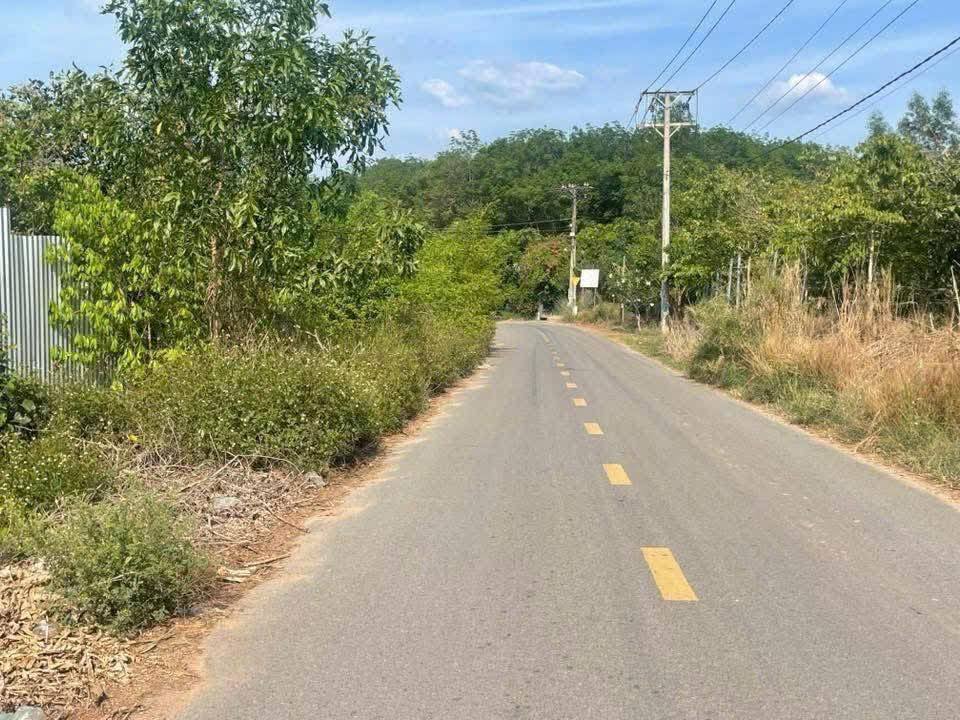 Đất nền 1100m² xã An Viễn, Trảng Bom, chỉ 2.8 tỷ - Cơ hội đầu tư hấp dẫn!