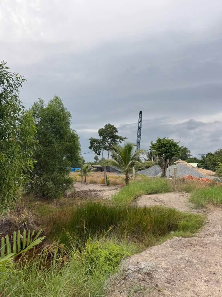 Đất nền đẹp 3000m² tại Mỹ Thạnh, Thủ Thừa, Long An - Giá chỉ 3 tỷ, view sông thoáng mát!