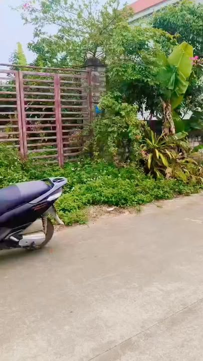 Đất Liên Lộc Hậu Lộc 192m² - Đường rộng, tiện ích đầy đủ!