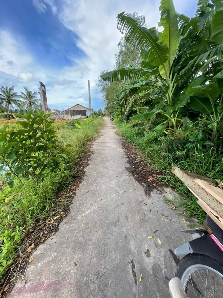 Đất thổ cư Hỏa Lựu, 1008m² chỉ 295 triệu - Cơ hội đầu tư tuyệt vời!