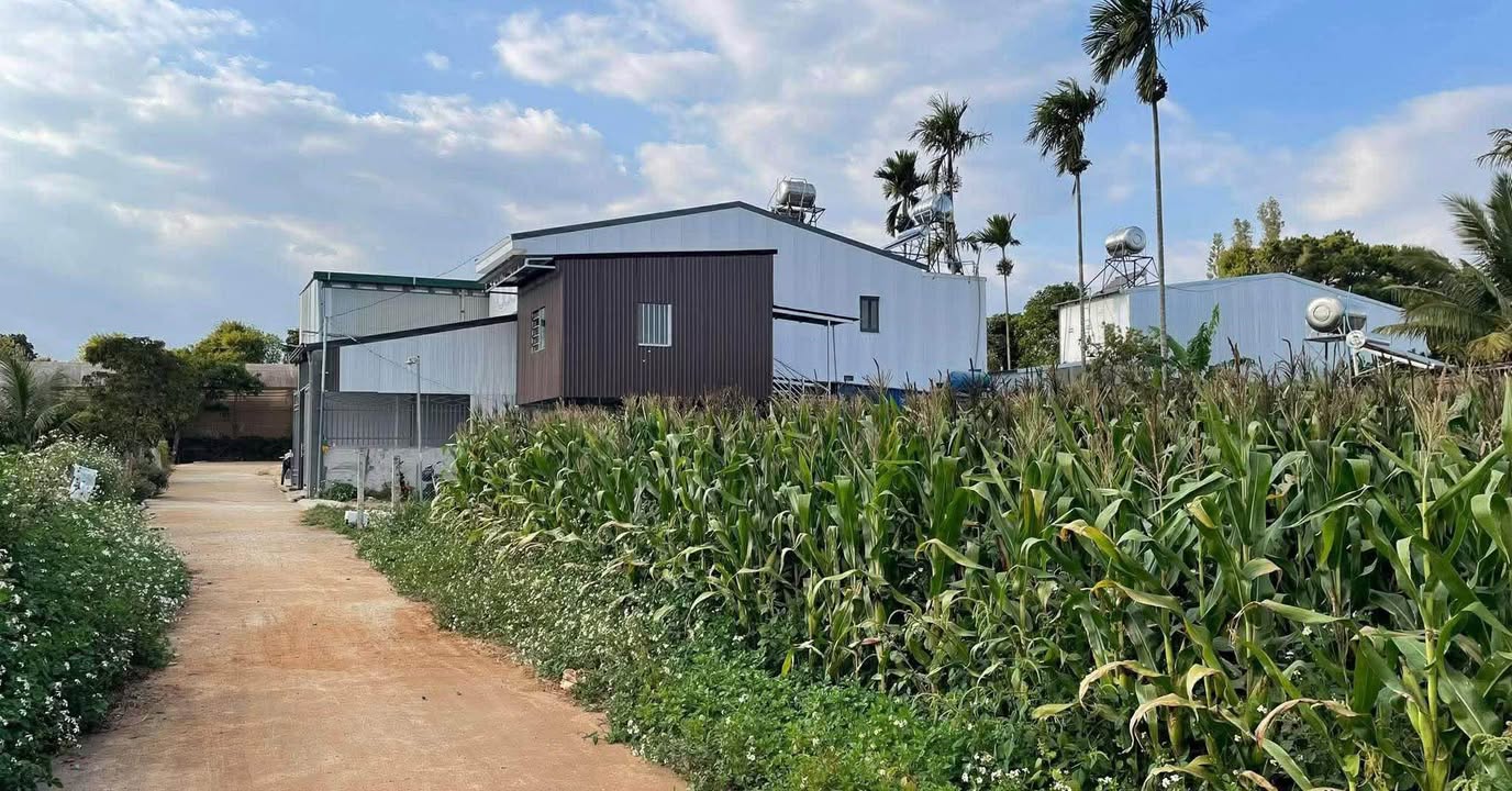 Lô đất đẹp tại xã Tân Thành, huyện Đức Trọng, 114,7m² giá chỉ 999 triệu - Đầu tư sinh lời ngay!