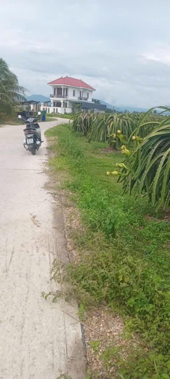 Đất nền chính chủ Xã Đồng Kho, Huyện Tánh Linh 3.364m² - Mặt tiền đường bê tông thuận tiện!