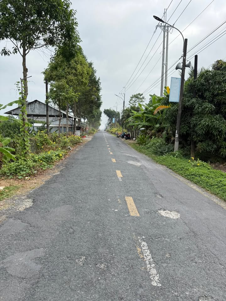 Bán Đất Mặt Tiền Đường Huyện 16, Cần Thơ - 1000m² Kinh Doanh, Làm Kho Xưởng