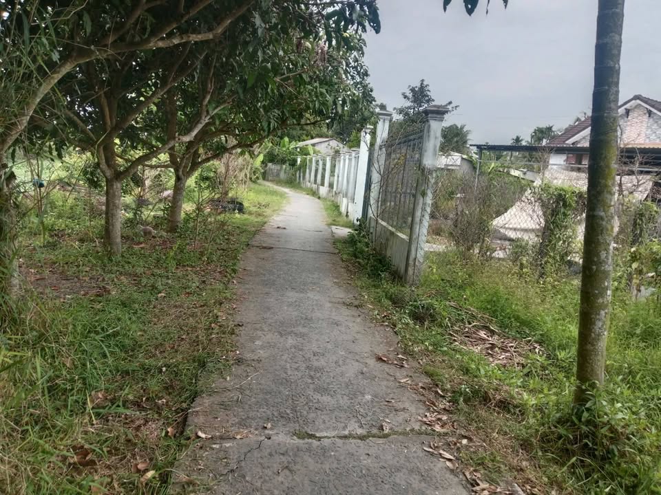 Đất nền Xã Mỹ Thuận 124,7m² giá chỉ 200 triệu - Cơ hội đầu tư tuyệt vời!