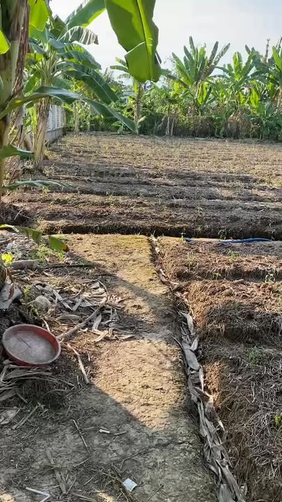 Đất nền liền kề Phường Thới An Đông, Quận Bình Thuỷ, 345m² - Giá chỉ 1.4 tỷ!