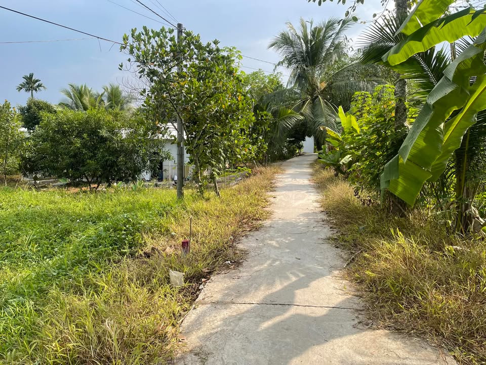 Bán Nền Thổ Cư 115m² Cần Thơ - Giá 170 Triệu