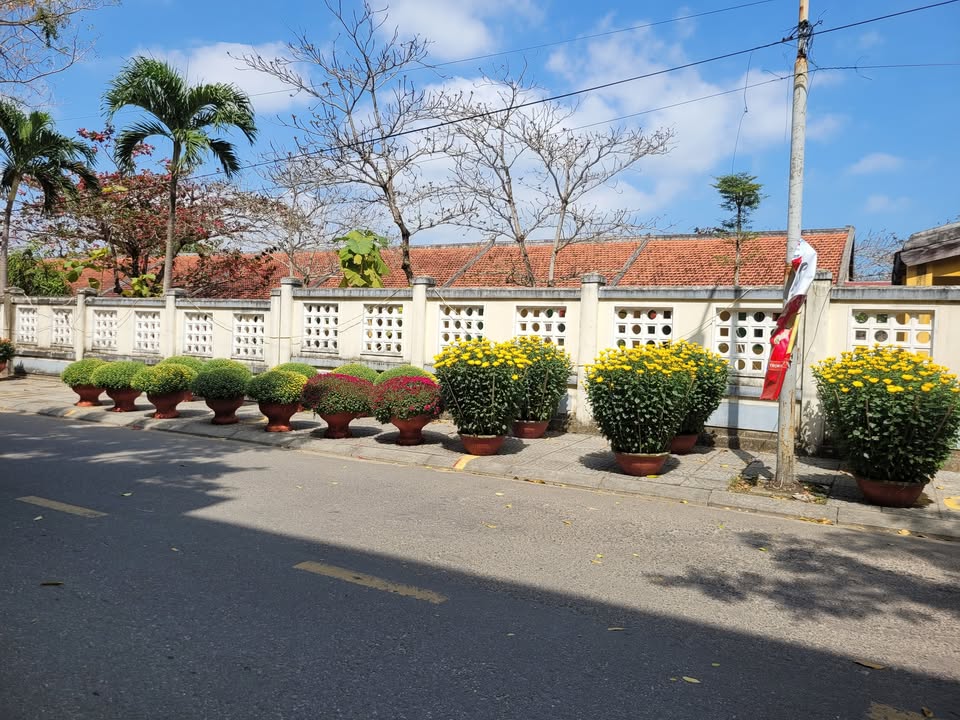 Đất nền liền kề tại Cẩm Thanh, Hội An 300m² - View sông dừa tuyệt đẹp!