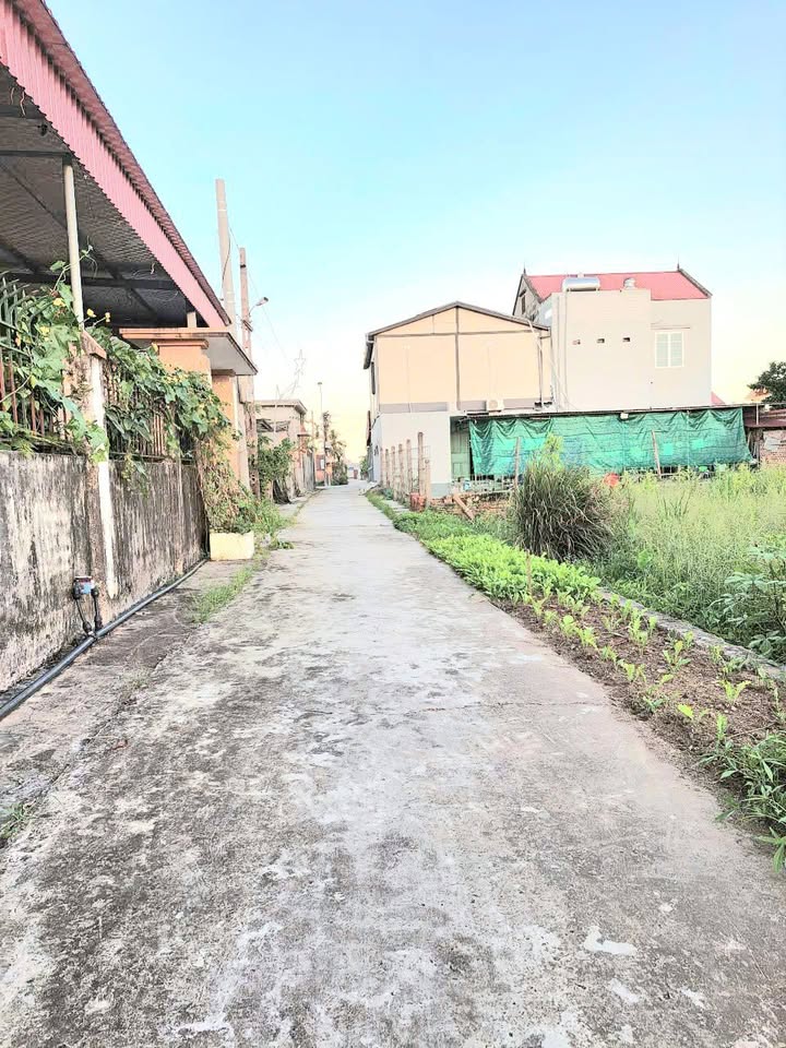 Đất Vĩnh Bảo, Hải Phòng 100m² - Sổ Đỏ Chính Chủ, Giá Vài Trăm Triệu