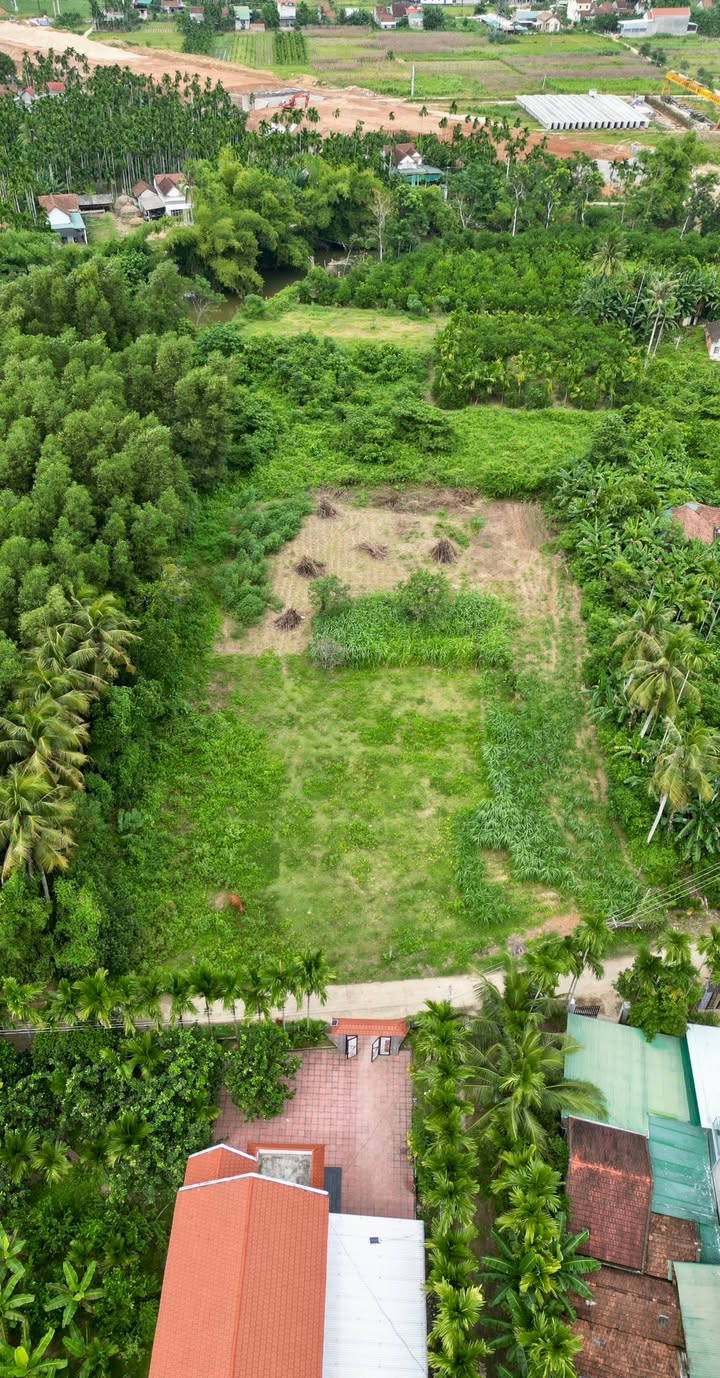 Đất thổ cư Hành Minh, Nghĩa Hành 4000m² giá 2 tỷ - Cơ hội đầu tư tuyệt vời!