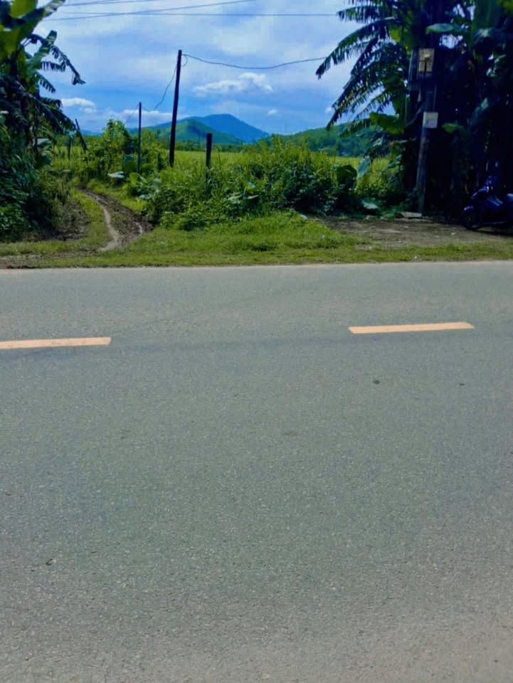 Đất vườn 1285m² Huyện Nghĩa Hành - Mặt tiền tỉnh lộ 624, giá thỏa thuận!