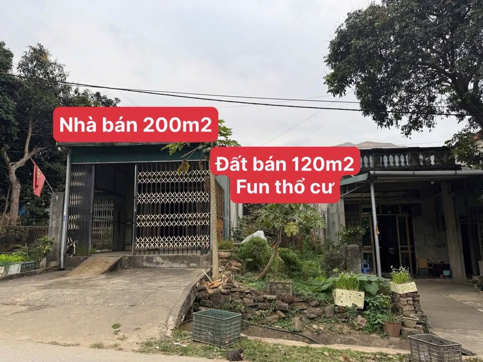 Nhà cấp 4 và lô đất tại thôn 3, đường to 156 - Giá chỉ 1.268 tỷ!