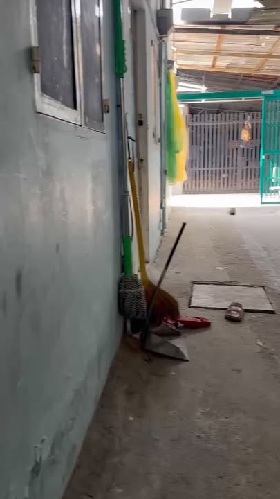 Nhà mini tại Quận Tân Phú 15m² giá 540 triệu - Giá hạt dẻ, thương lượng ngay!