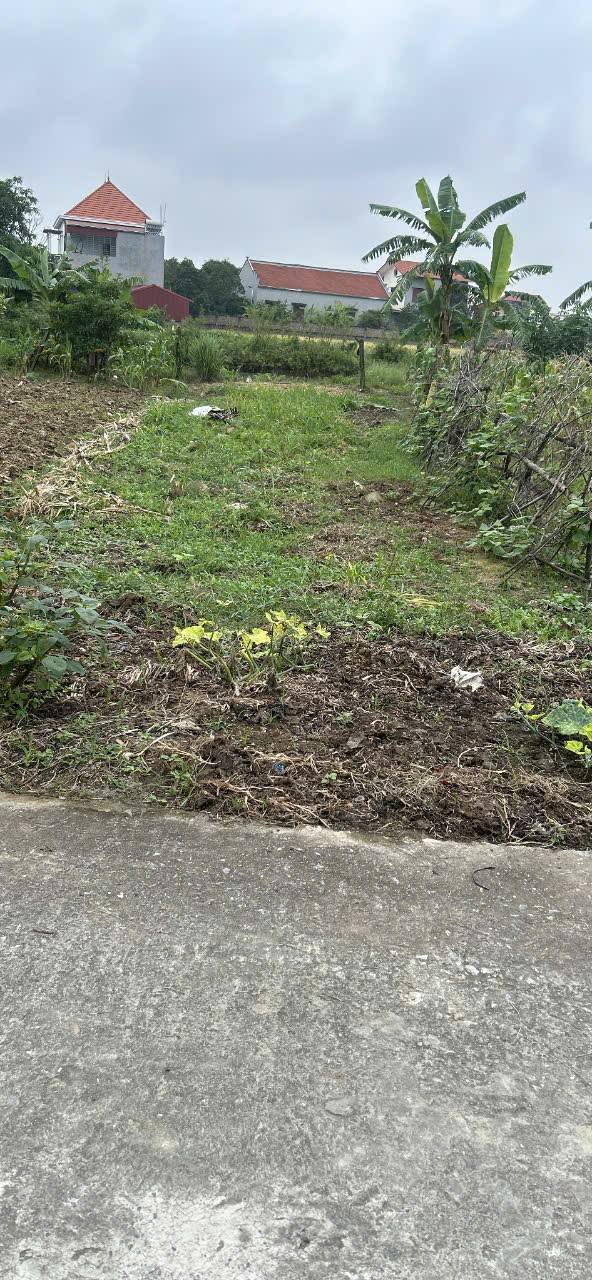 Đất nền 115m² Xã Quang Minh, Huyện Lương Tài - Đầu tư sinh lời ngay!