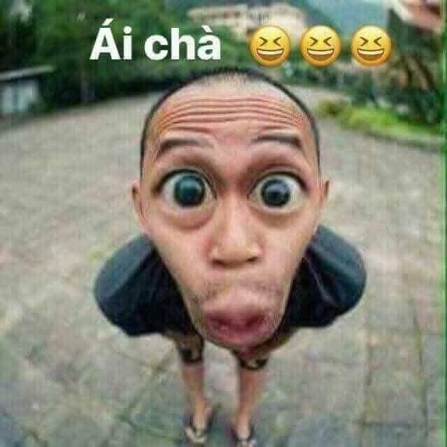 Đất KCN Ninh Bình 8000m² giá 2.5 triệu/m² - Cơ hội đầu tư tuyệt vời!