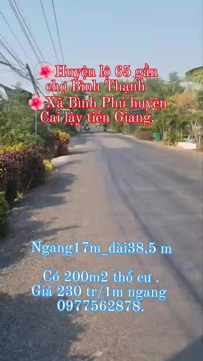 Đất Mặt Tiền Huyện Lộ 65 Cai Lậy - 654.5m² - Sổ Đỏ Rõ Ràng