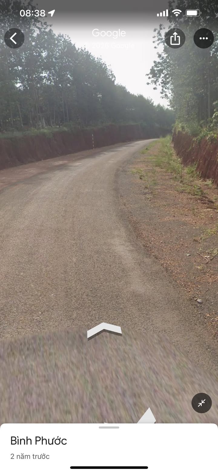 Rẫy điều 2.4ha tại Tân Lợi, Đồng Phú - Mặt tiền đường nhựa, chính chủ bán gấp!